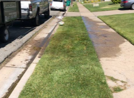 Landeros Lanscaping Image