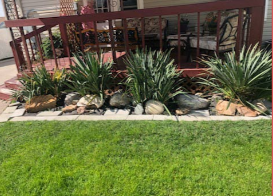 Landeros Lanscaping Image