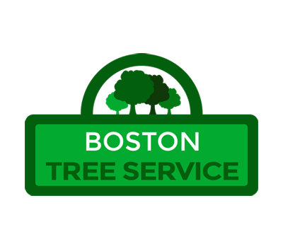 Boston Tree Service Logo