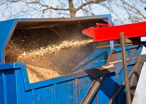 Boston Tree Service Image