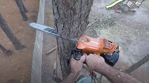 Joe's Valdosta Tree Service Image