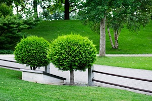 Waterloo Tree Service Pros Logo