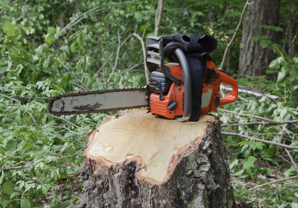 Brookfield Tree Service Image