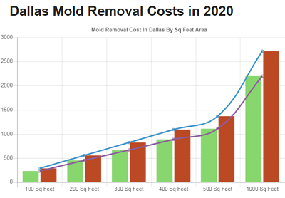 Get In Mold Removal Dallas - Mold Remediation Service Image