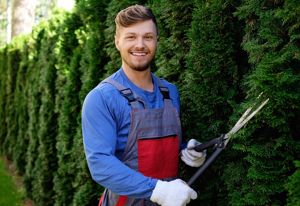 Woody's Erie Pa Tree Service Image