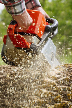 Woody's Erie Pa Tree Service Image