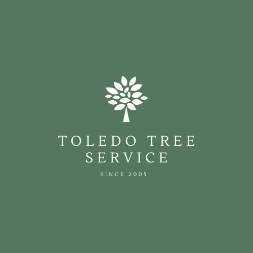 Toledo Tree Service Logo