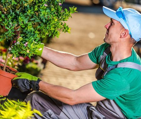Clipper Tree Service of Orland Park Image