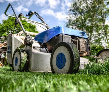 Clipper Tree Service of Orland Park Image