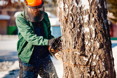 Yucaipa Tree Service Image