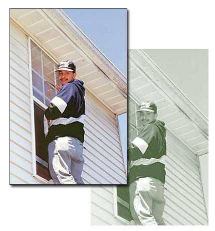 Tony's Cleaning Services Image
