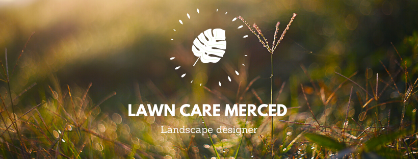 Lawn care Merced Image