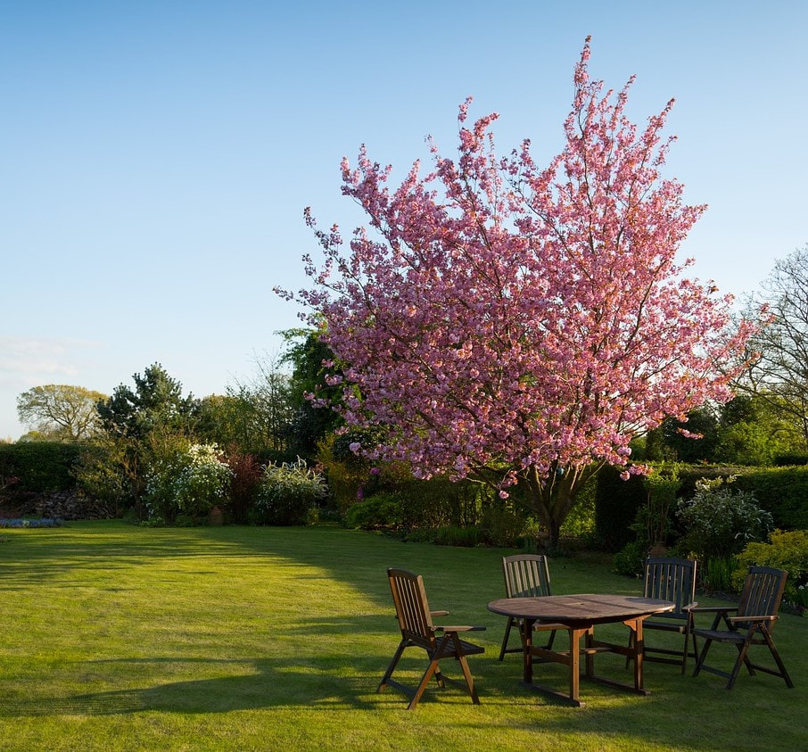 Schaumburg Tree Service Image