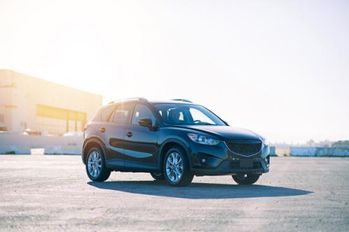 Tampa Bay Car Detailing Image