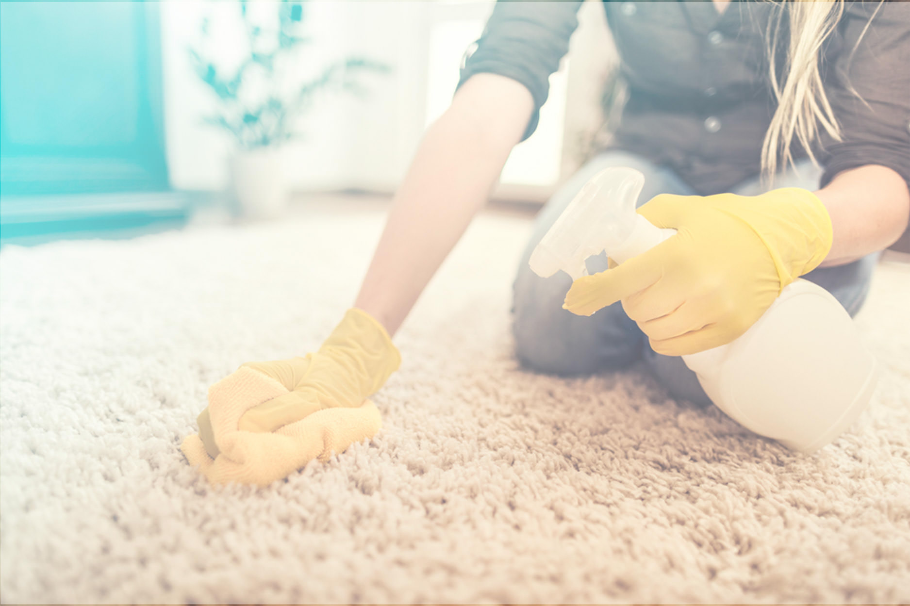 Washington DC House Cleaning Maid Image