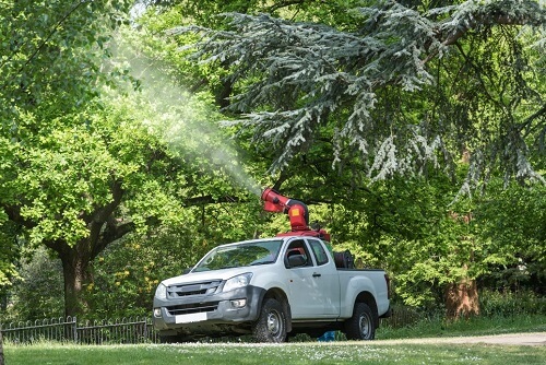 Top Tree Service Co. Image
