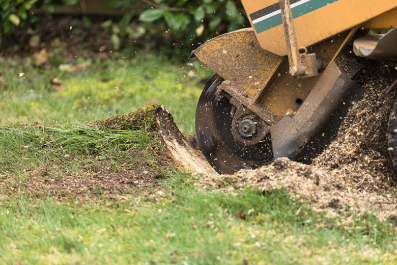 Truckee Tree Service Pros Image