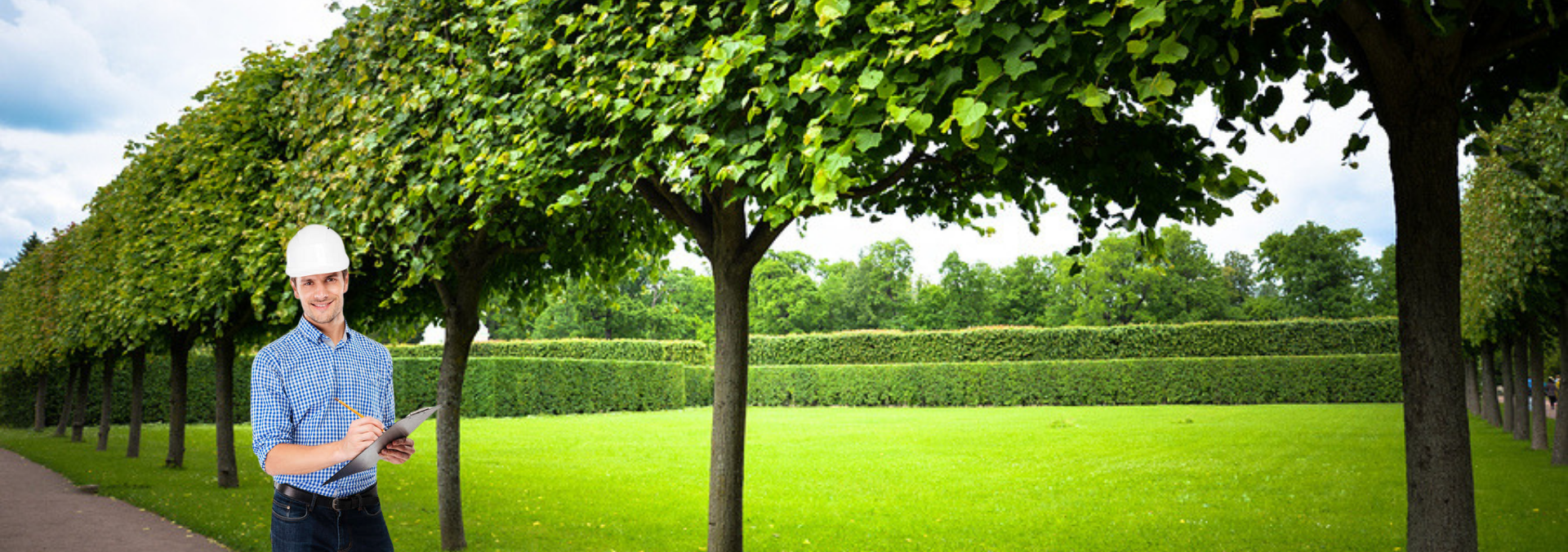 Truckee Tree Service Pros Image