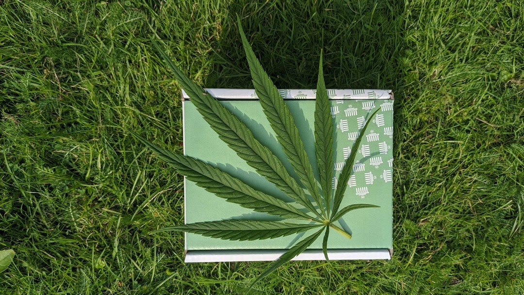 Buds MJ Delivery Logo