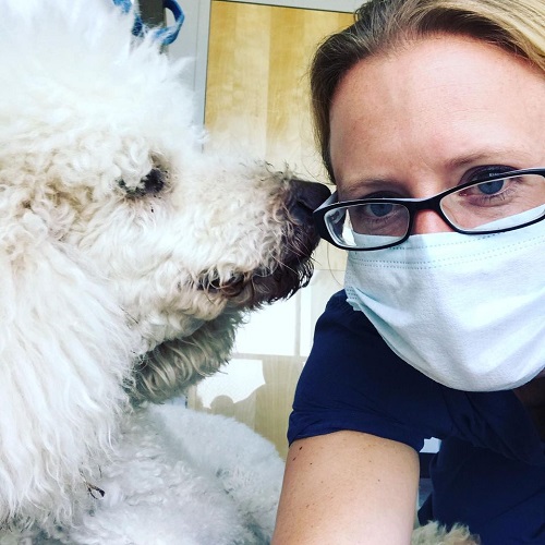 Independence Pet Hospital Image