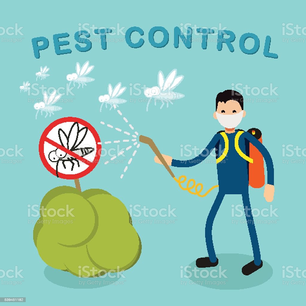 Pest Control Services in Lockport, IL Image