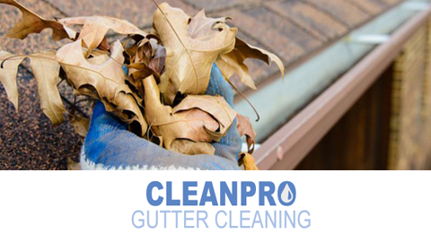 Clean Pro Gutter Cleaning Humble Logo