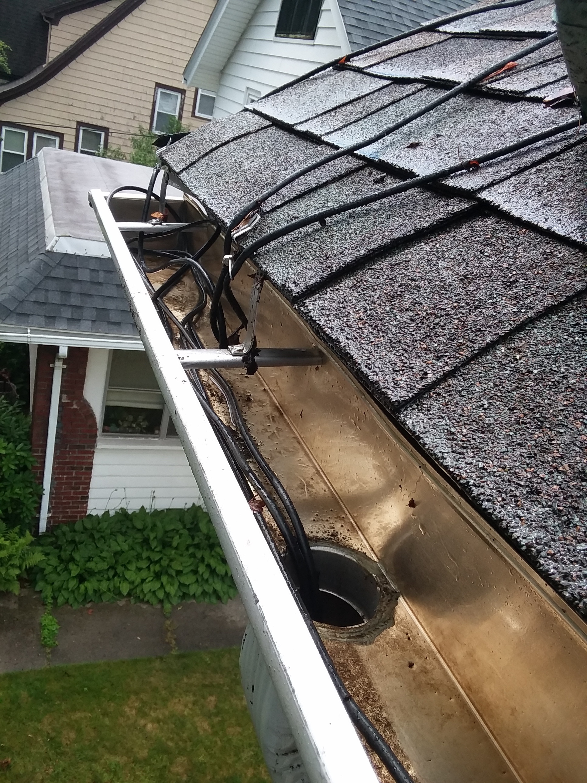 Clean Pro Gutter Cleaning Springfield Image