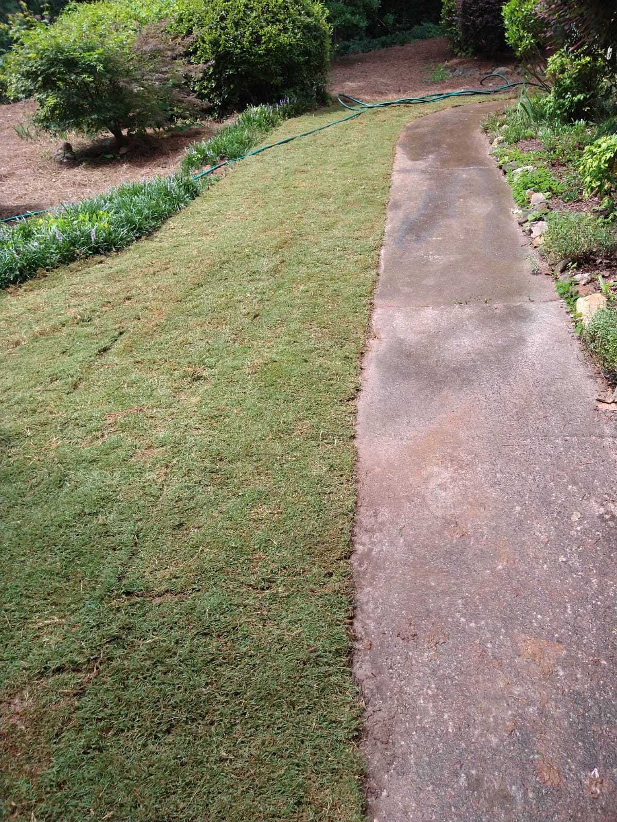 Gonzalo Landscaping Services Image