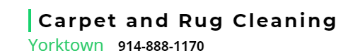 Rug &amp; Carpet Cleaning Service Yorktown Logo