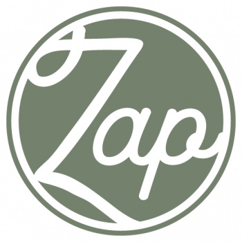 The Zap House Logo