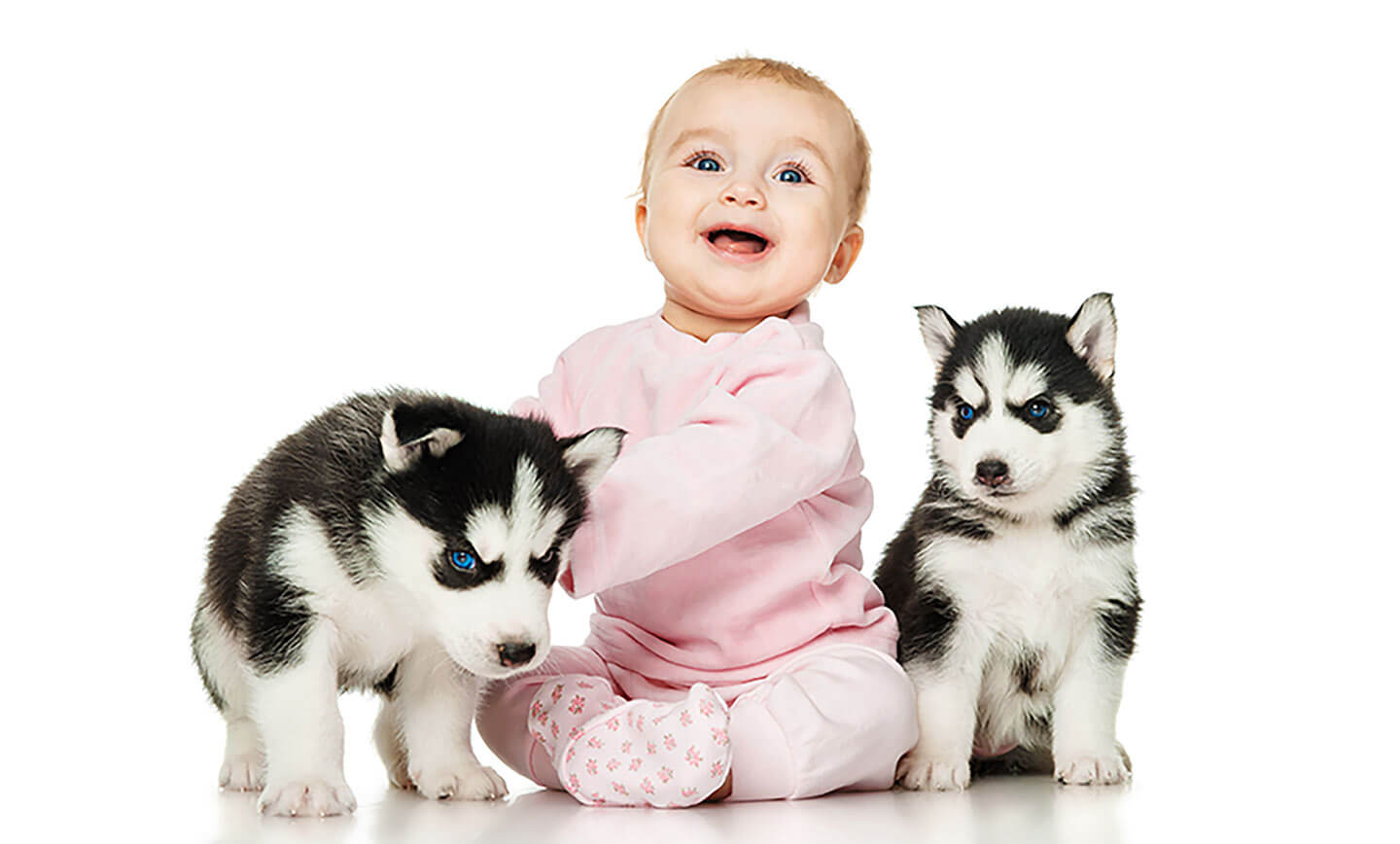 Hansen's Carpet & Floor Care Image