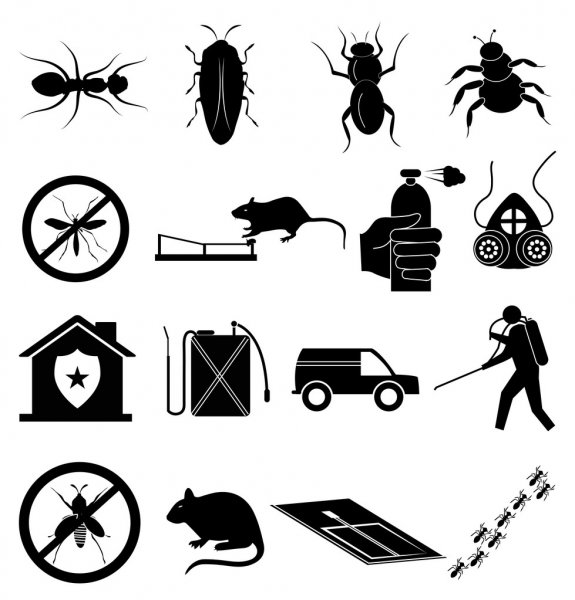 Local Pest Control in Leesport, PA Image