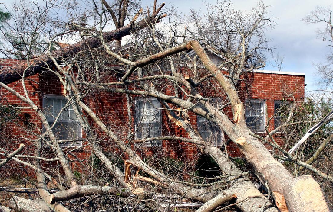 Bountiful Tree Service Image