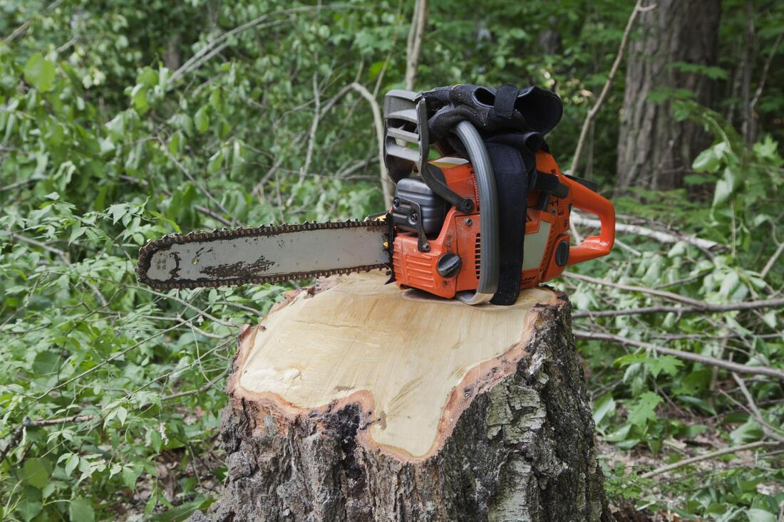 Bountiful Tree Service Image