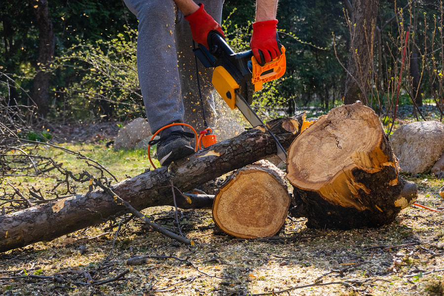 Bountiful Tree Service Image