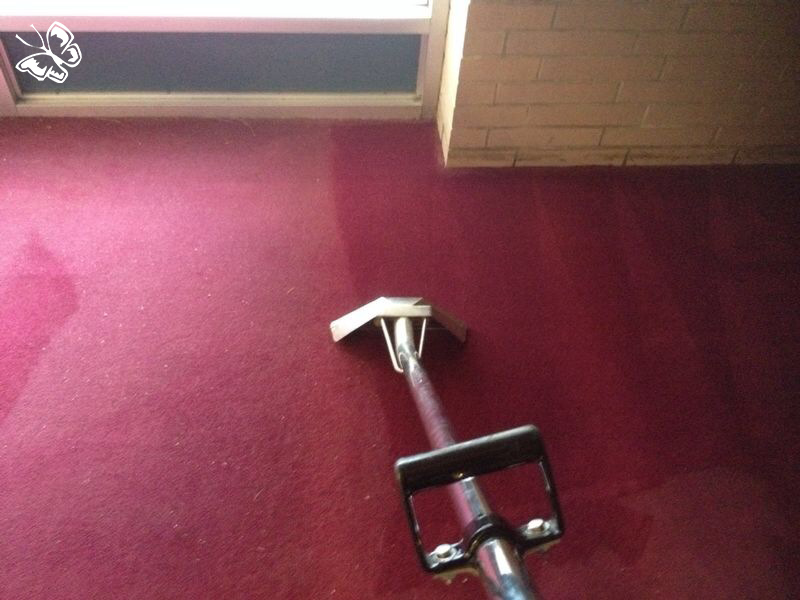 UCM Carpet Cleaning McLean Image