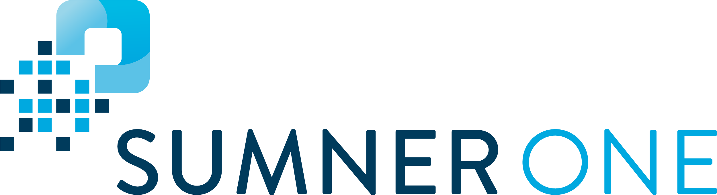 SumnerOne Logo