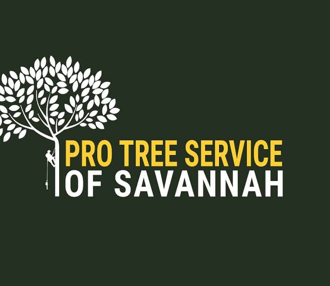 Pro Tree Service of Savannah Logo