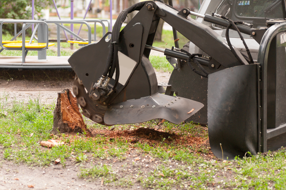 Pro Tree Service of Savannah Image