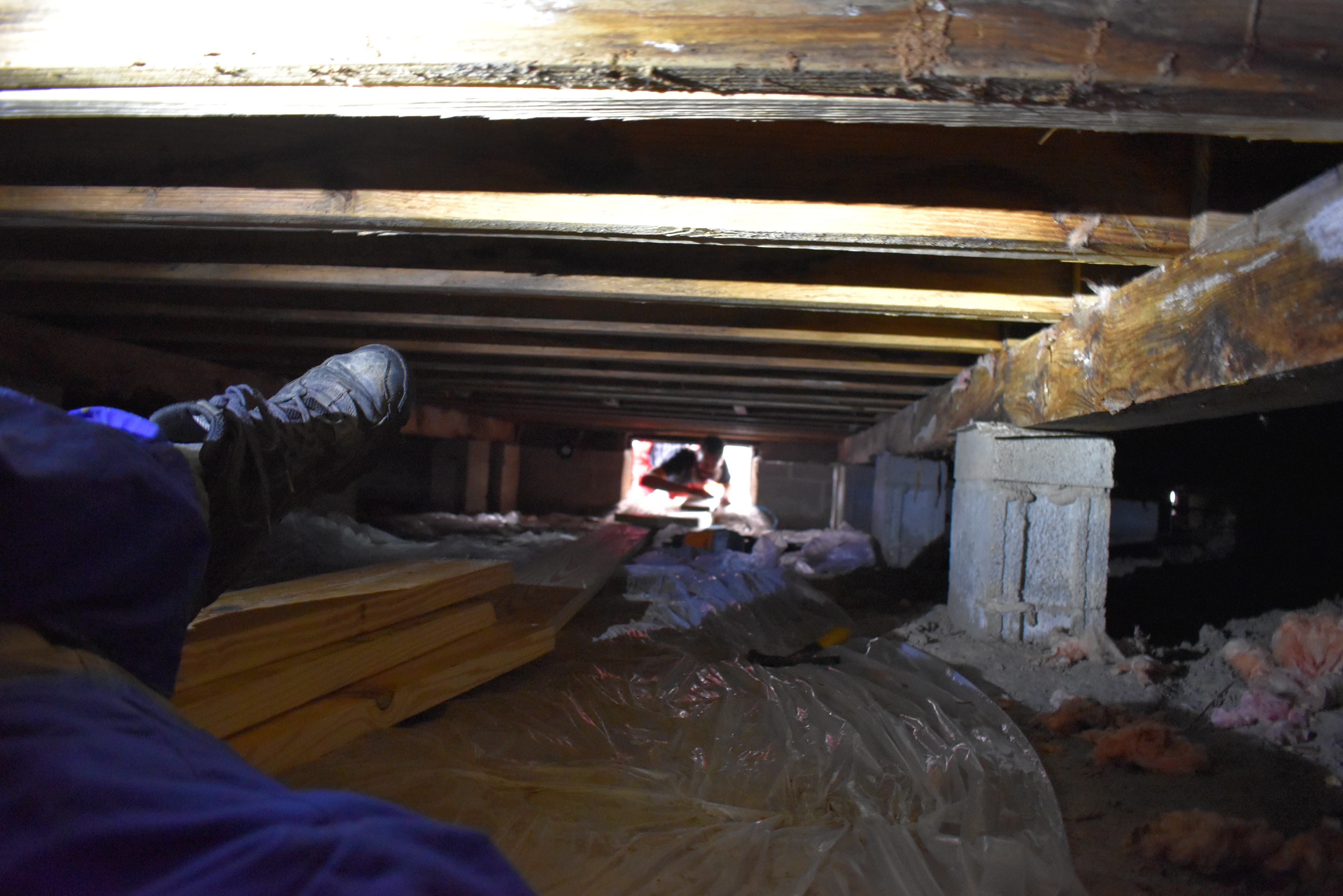 Strata Building Specialists Image