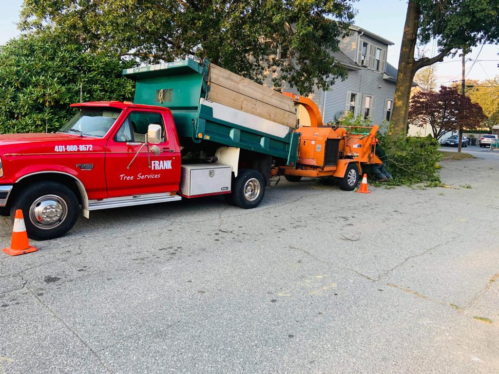 Frank Tree Services Image