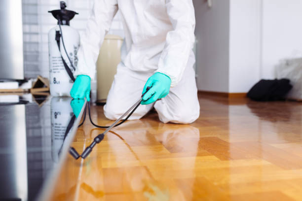 Local Pest Control in Lompoc, CA Image