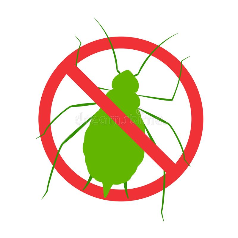 Local Pest Control in Lompoc, CA Image