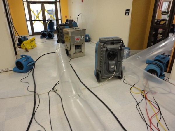 Water Damage Restoration Company in Bedford, TX Logo