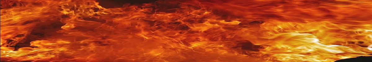 ACE Fire Protection Image