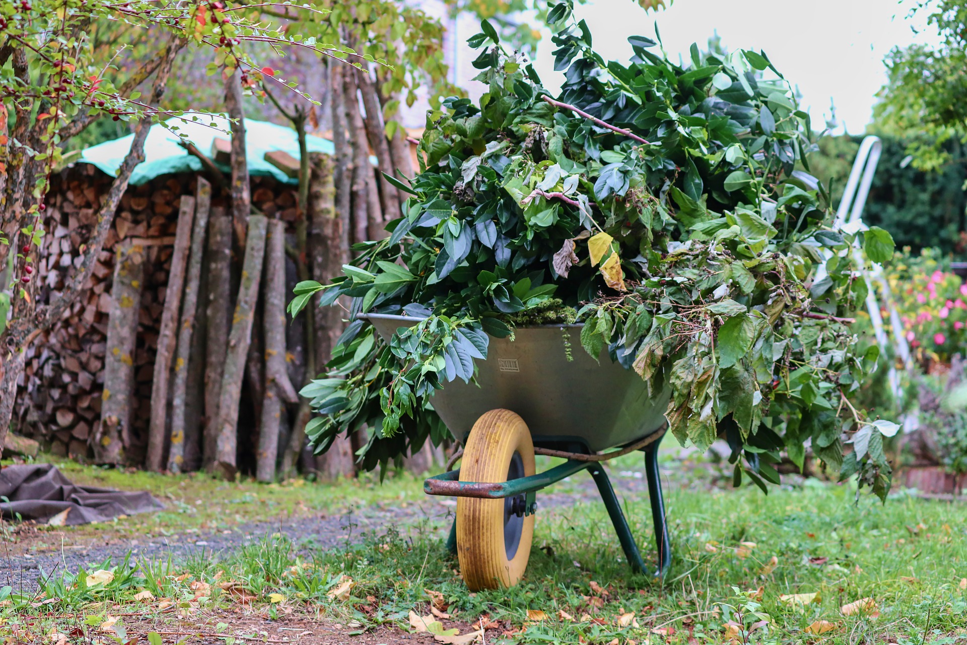 Columbia Pro Tree Service Image