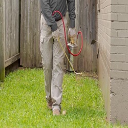 Rumble Pest Solutions Image