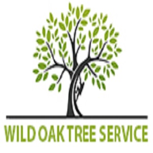 Round Rock Tree Experts Logo