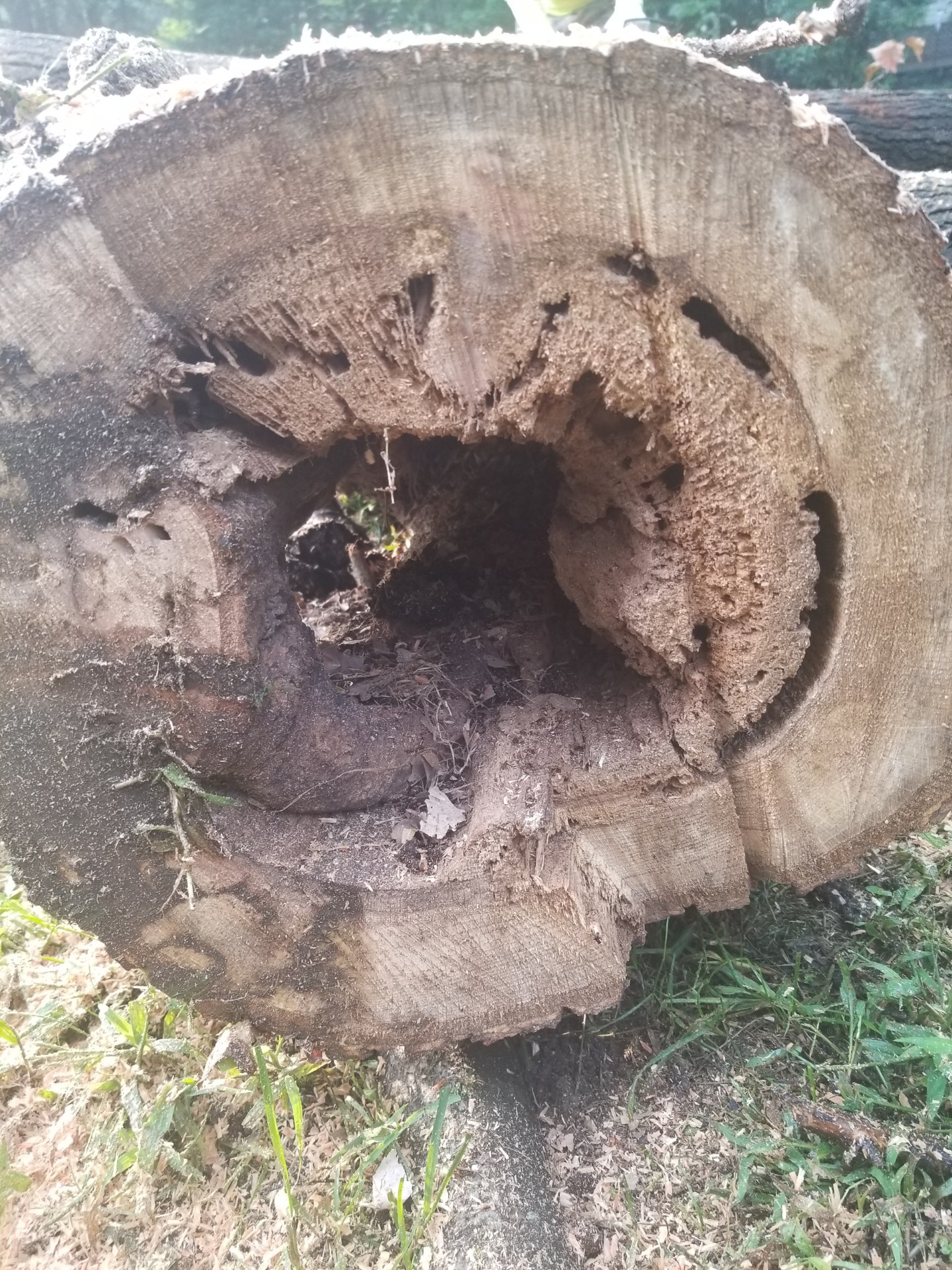 Douglas Landscaping LLC Image