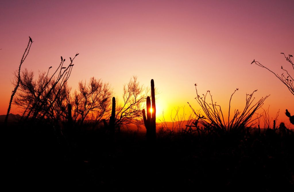New Mexico Wellness Treatment Center Image